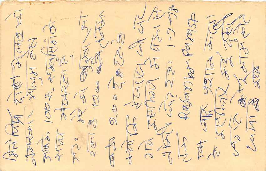 Inde India Entier Postal Stationary Tigre Tiger  — Verso