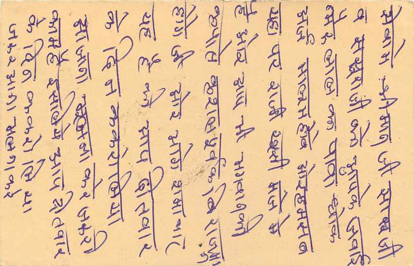 Inde India Entier Postal Stationary Tigre Tiger  — Verso