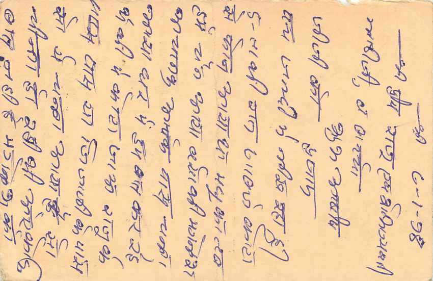 Inde India Entier Postal Stationary Tigre Tiger  — Verso