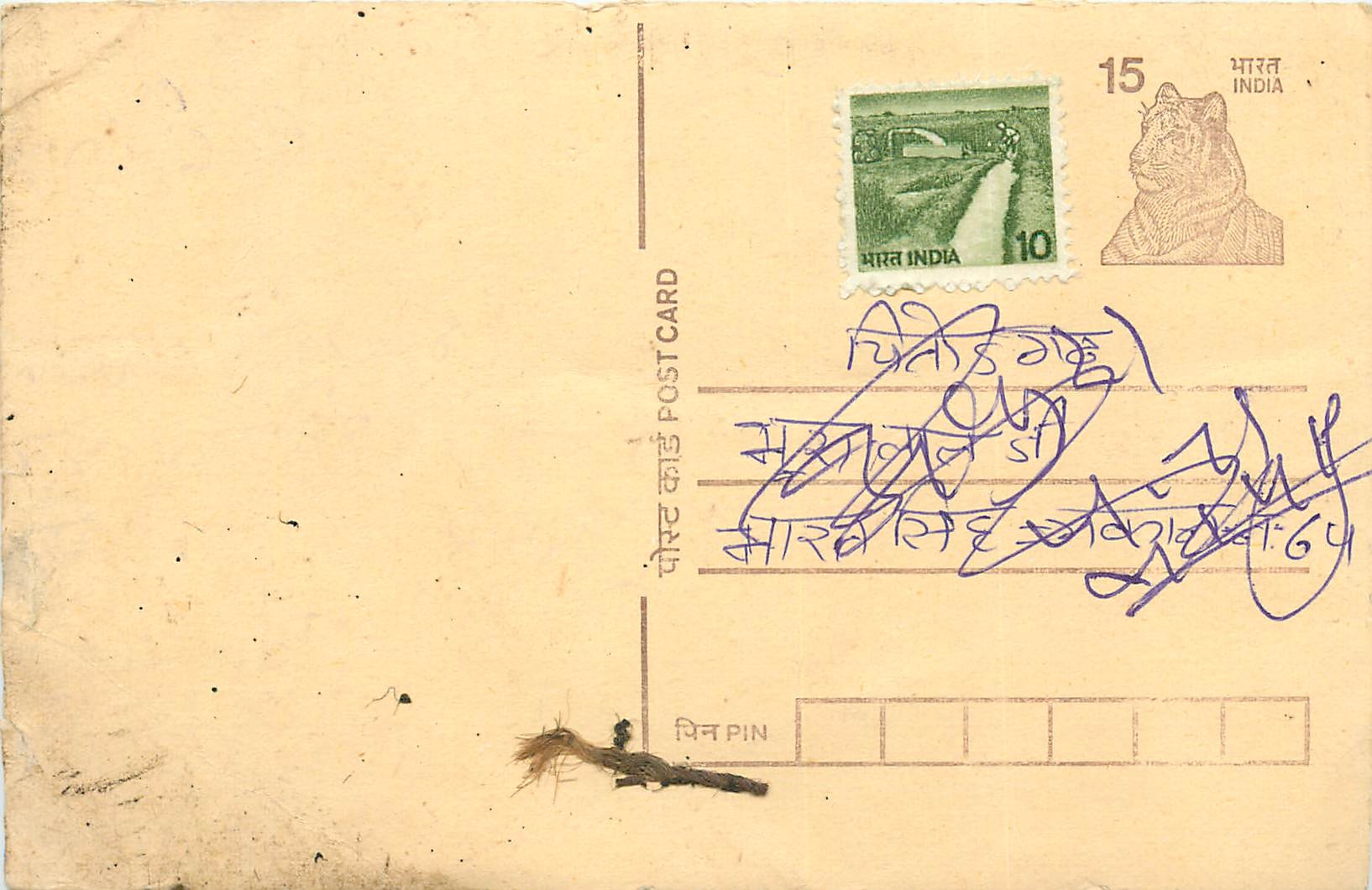 Inde India Entier Postal Stationary Tigre Tiger 