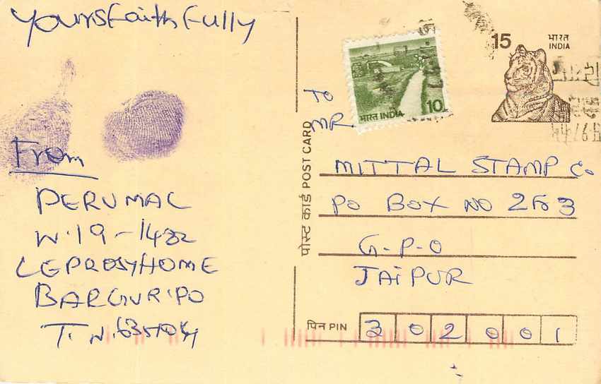 Inde India Entier Postal Stationary Tigre Tiger 