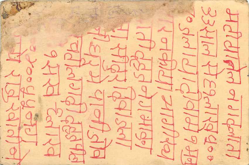 Inde India Entier Postal Stationary Tigre Tiger  — Verso