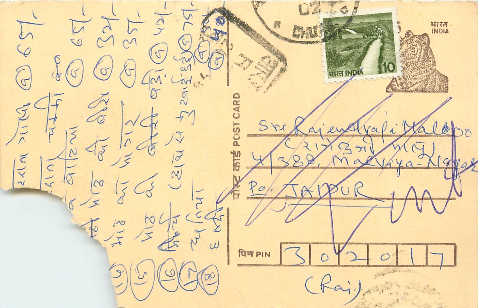 Inde India Entier Postal Stationary Tigre Tiger 