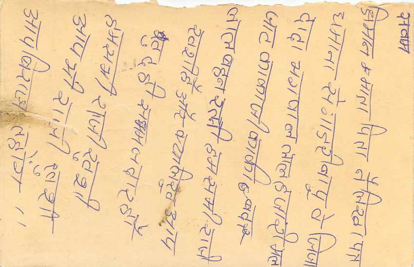 Inde India Entier Postal Stationary Tigre Tiger  — Verso