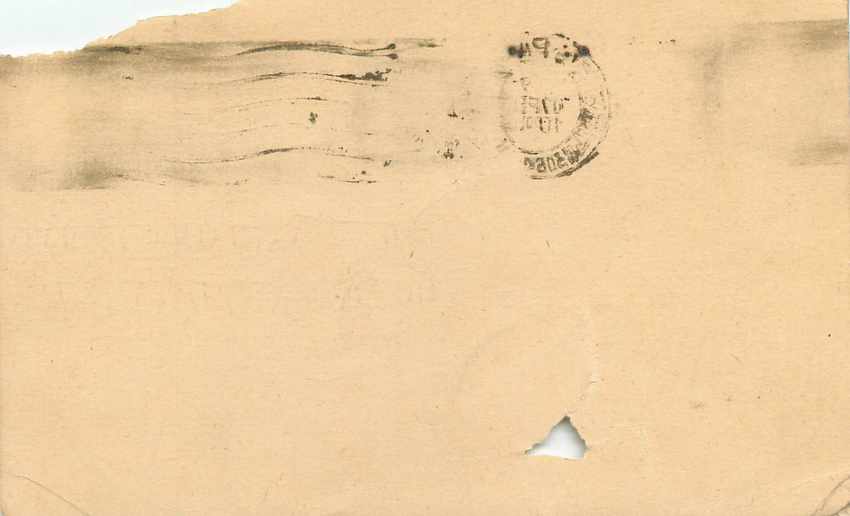 Inde India Entier Postal Stationary Tigre Tiger  — Verso