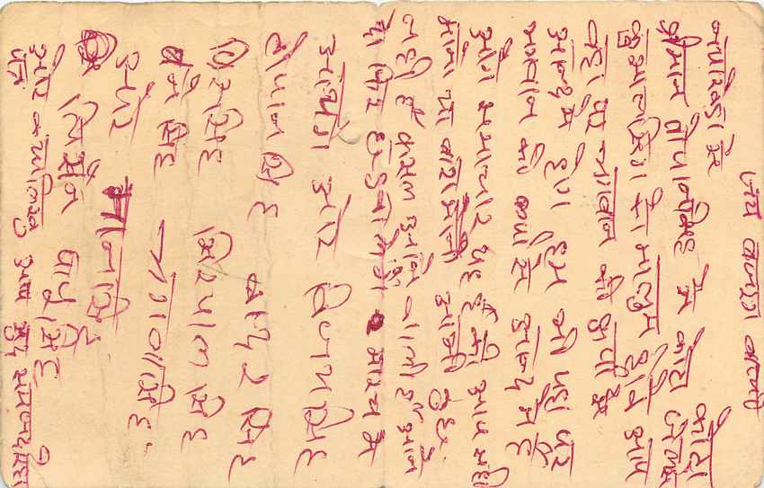 Inde India Entier Postal Stationary Tigre Tiger  — Verso