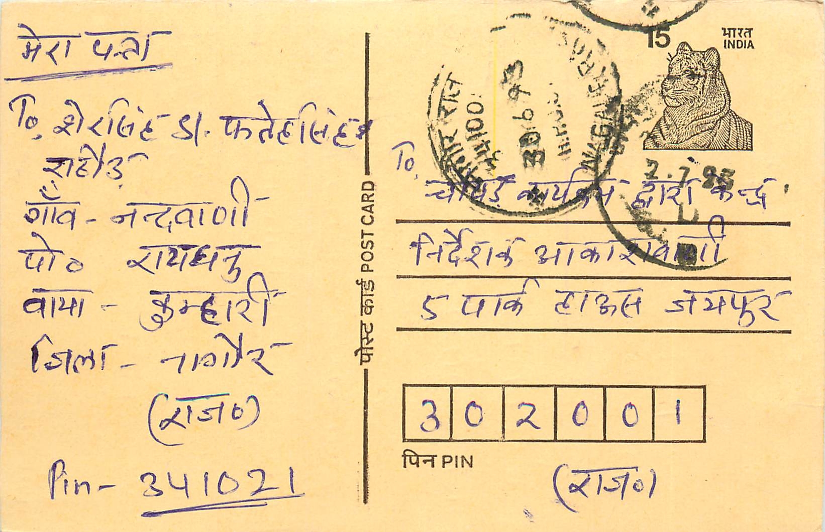 Inde India Entier Postal Stationary Tigre Tiger 