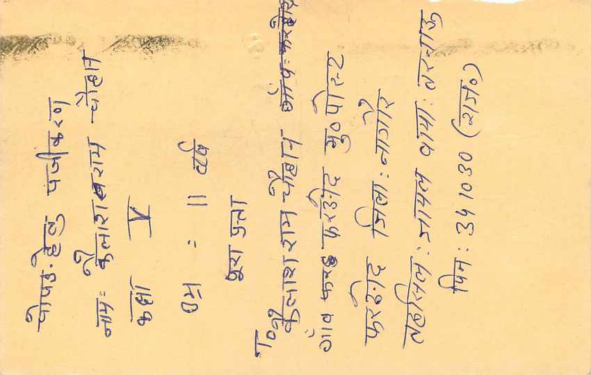 Inde India Entier Postal Stationary Tigre Tiger  — Verso