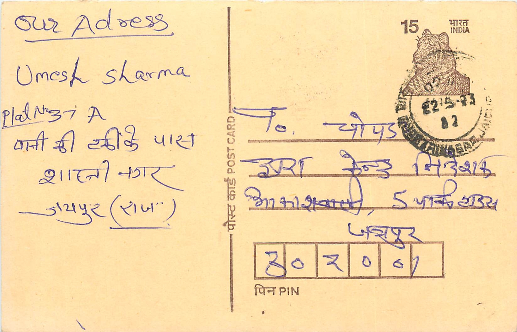 Inde India Entier Postal Stationary Tigre Tiger 