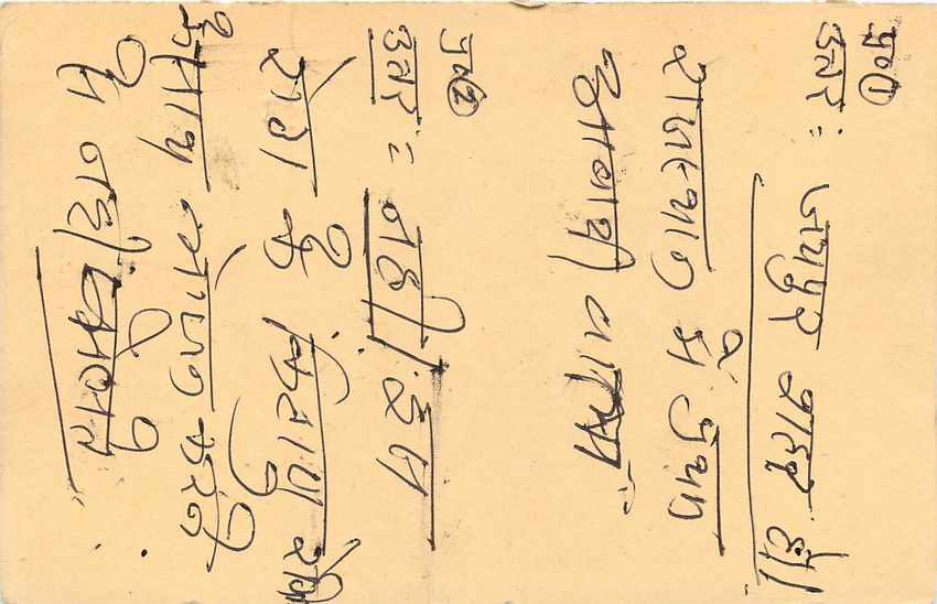 Inde India Entier Postal Stationary Tigre Tiger  — Verso