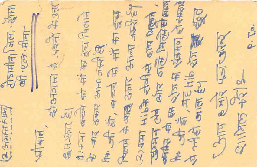 Inde India Entier Postal Stationary Tigre Tiger  — Verso