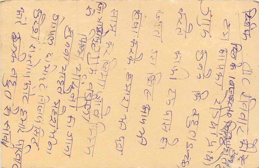 Inde India Entier Postal Stationary Tigre Tiger  — Verso