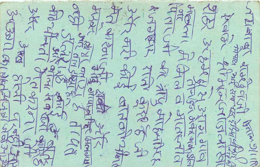 Inde India Entier Postal Stationary Tigre Tiger  — Verso