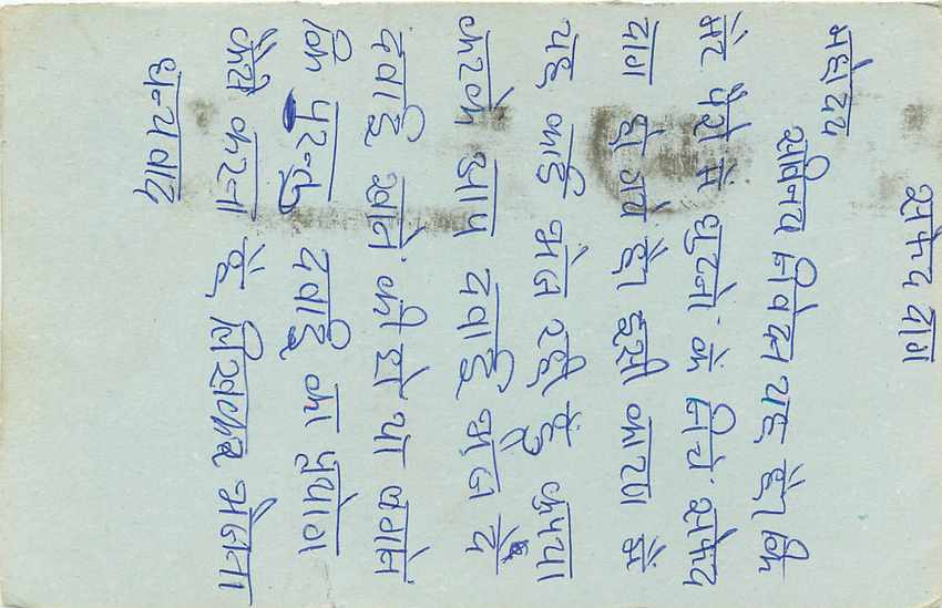 Inde India Entier Postal Stationary Tigre Tiger  — Verso