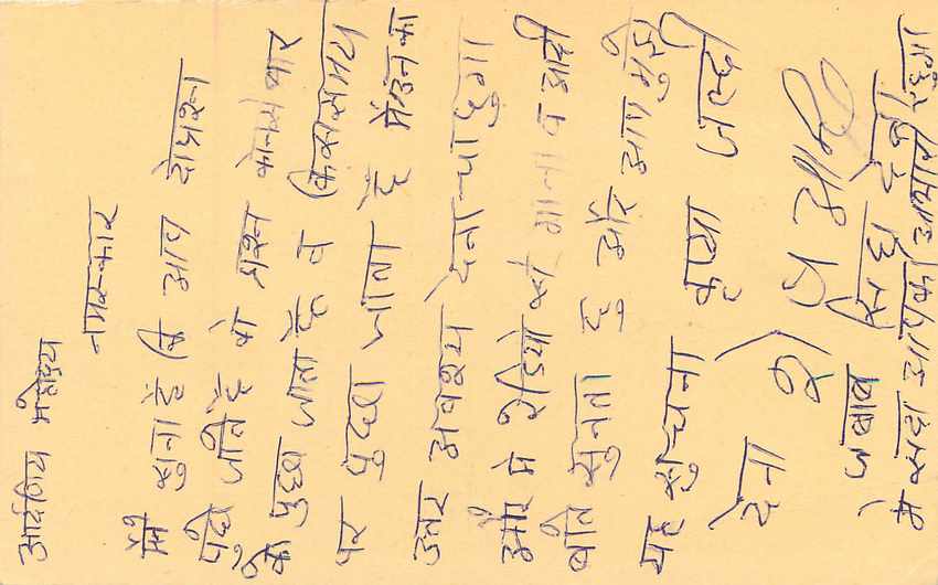 Inde India Entier Postal Stationary Tigre Tiger  — Verso