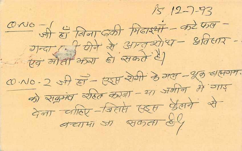Inde India Entier Postal Stationary Tigre Tiger  — Verso