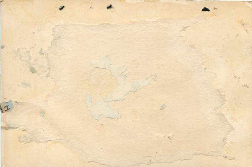 Postal Stationary Entier Postal Bresil Brazil — Rückseite