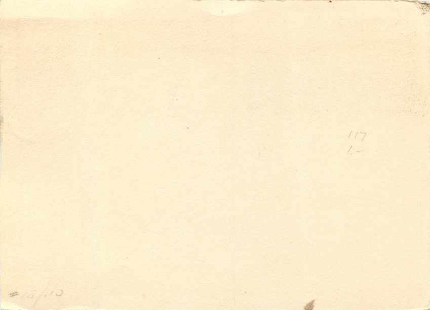 Entier Postal Stationary Finlande Lion 1952 — Rückseite