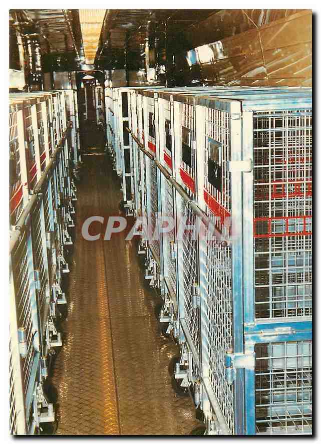 CPM TGV Postal Interieur d'une voiture Les conteneurs
