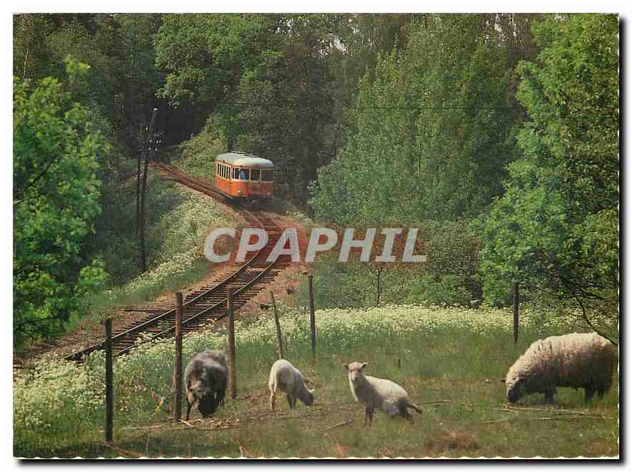 CPM Hjorted 780603