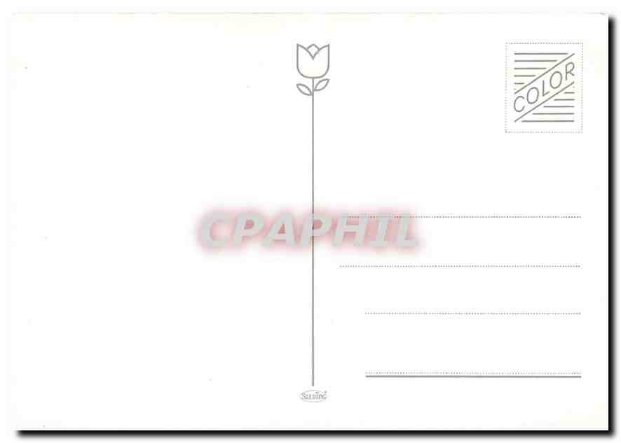 CPM Train — Verso