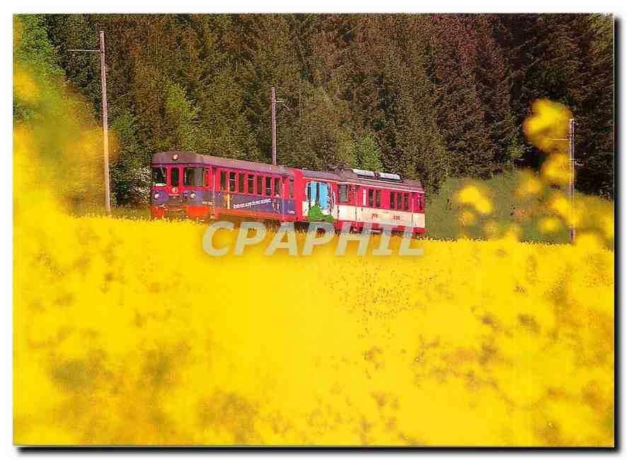 CPM Yverdon Ste Croix Materiel roulane de 1981 a 1983
