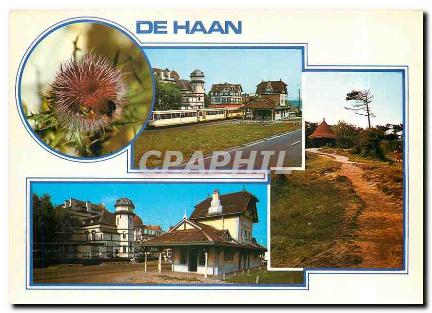 CPM Greetings from De Haan 