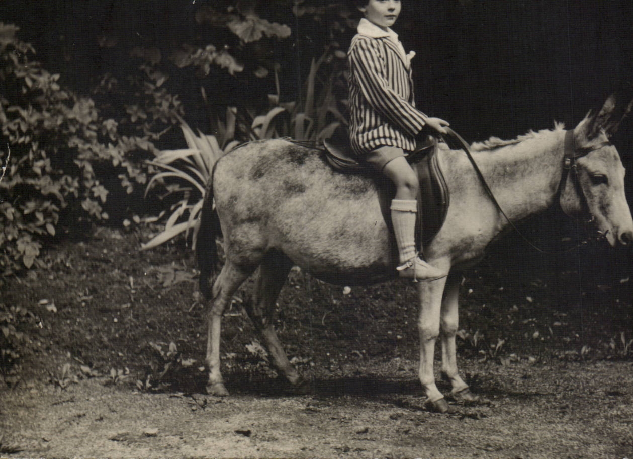 CPA Carte photo Enfant Ane donkey