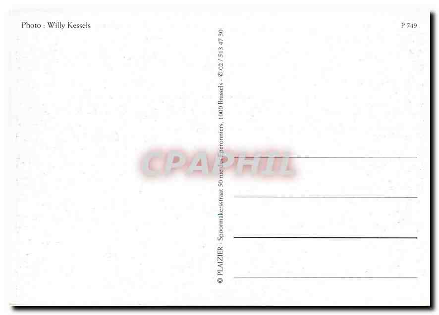 CPM Bruxelles Tramway — Verso