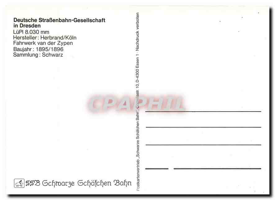 CPM Dresden — Back