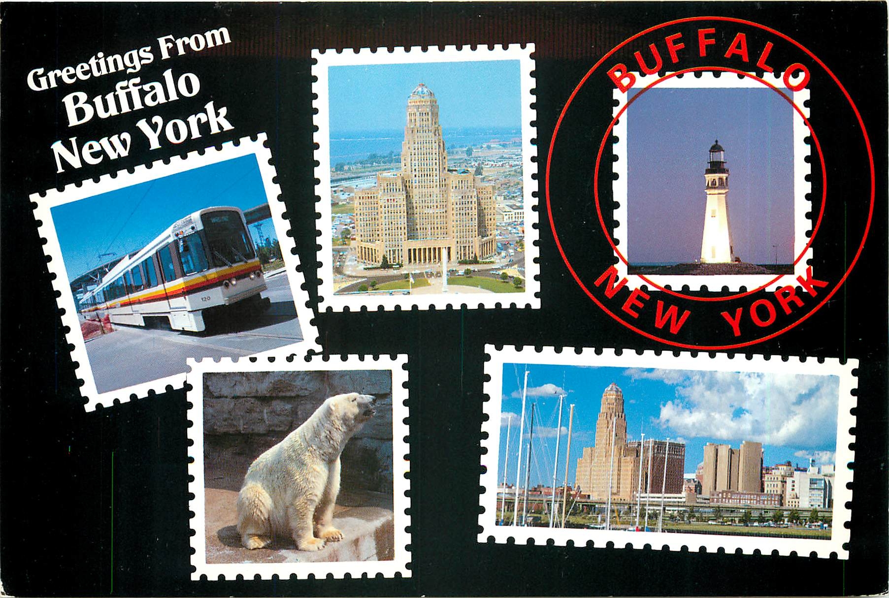 CPM Greetings from Buffalo New York Ours Blanc