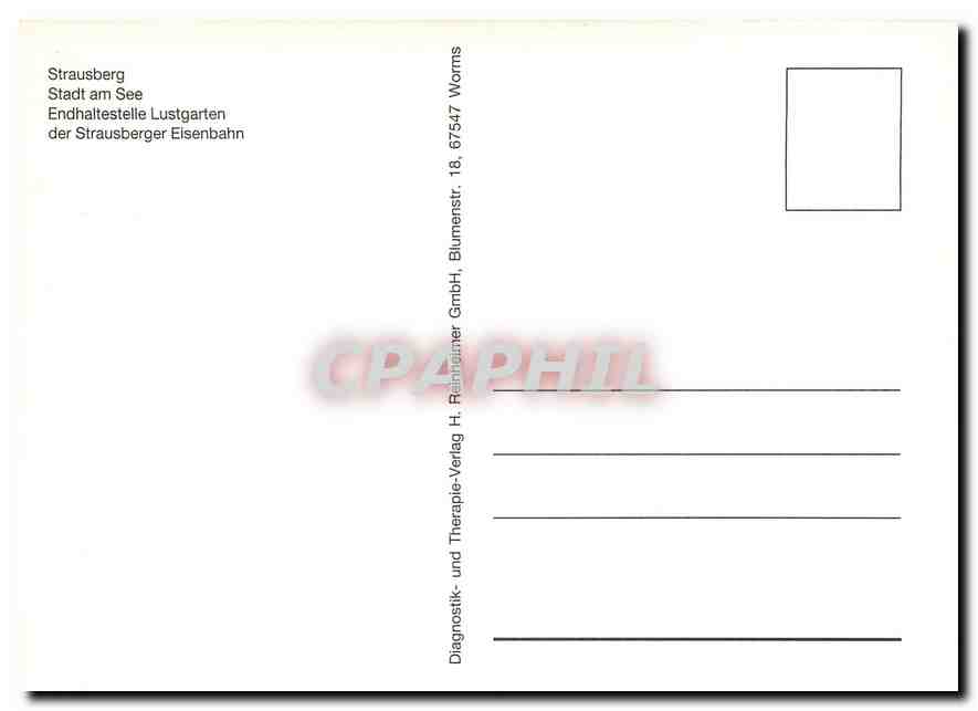 CPM Strausberg  — Back