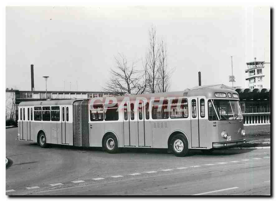 CPM verein tram-museum zuerich FBW-Gelenkautobus Nr.215