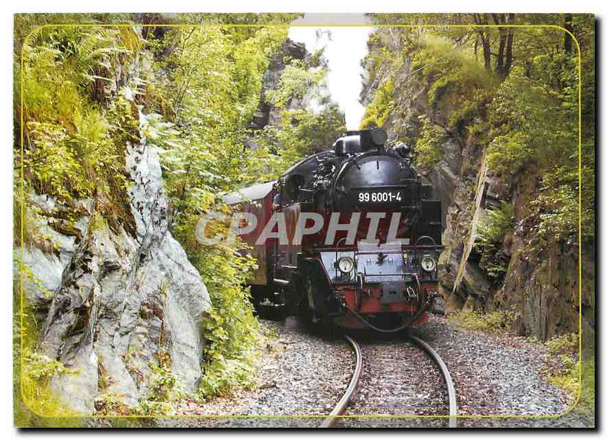 CPM Personenzug mit Dampflok 99 6001 am ''Kiosterkopf'' im Selketal