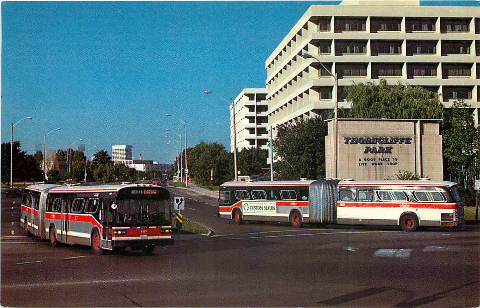 CPM Here two of TTC's twelve ''artics'' pass on the busy THORNCLIFFE PARK route in September 1983