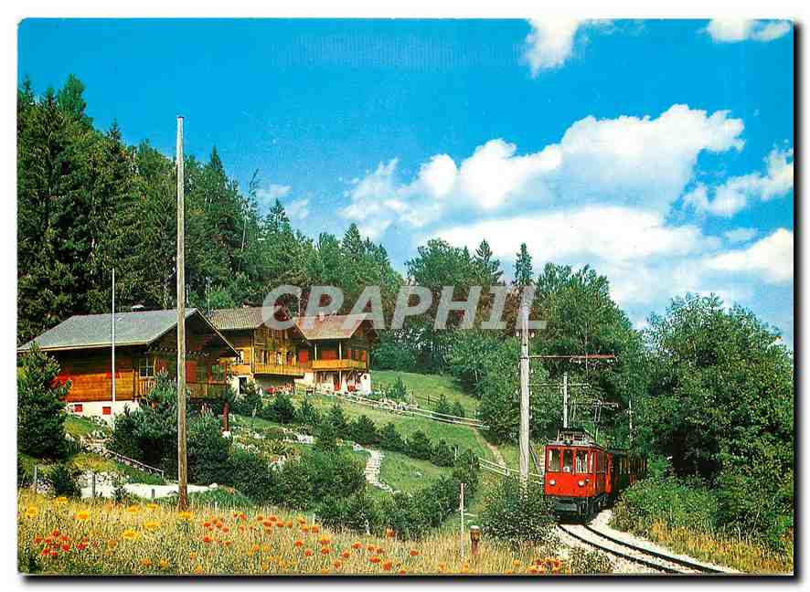CPM St. Cergue Chemin de fer Nyon-St.Cergue-La Cure-Morez