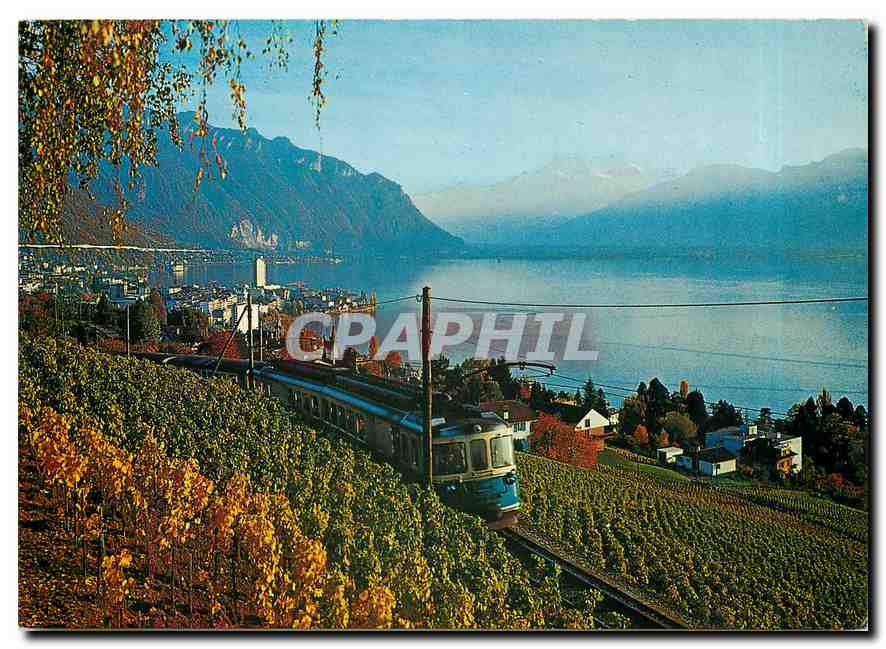 CPM Montreux Vue sur le Lac Leman et Dents du Midi