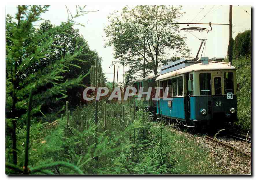 CPM Chemin de fer touristique Blonay-Chamby Le tram 28 ex-T.L. dans la verdure