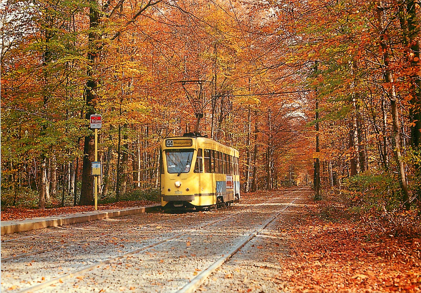 CPM Motrice 7009 en Foret de Soignes