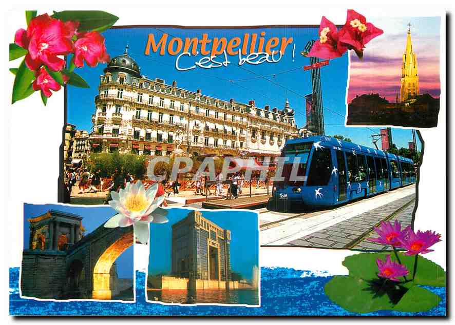 CPM Le tramway sur la Comedie le Chateau d'eau du Peyrou l'eglise Sainte-Anne l'hotel de region