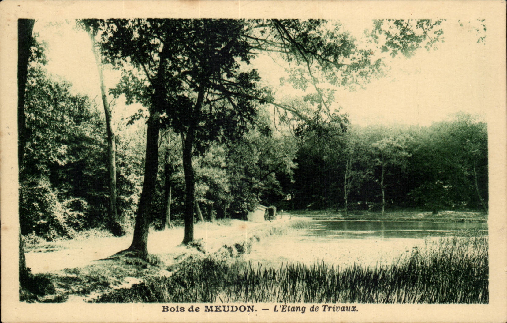 Bois de Meudon CPA l'etang de Trivaux