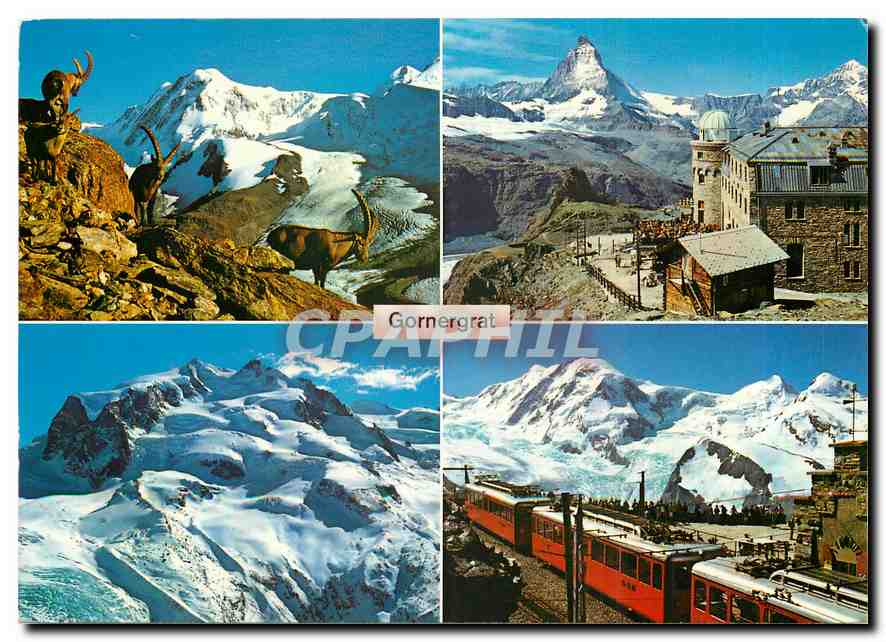 CPM Gornergrat Zermatt Steinbocke Hotel Gornergrat Monte Rosa Gornergratbahn