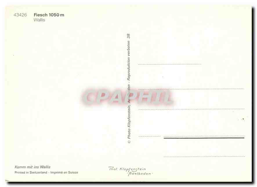CPM Fiesch Wallis — Verso