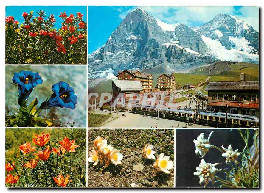 CPM Kleine Scheidegg mit Eiger und Monch