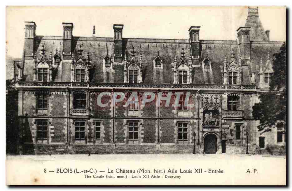 Blois (Loir-et-Cher) — Das Schloss (Historisches Denkmal) Flügel Louis XII — Eingang