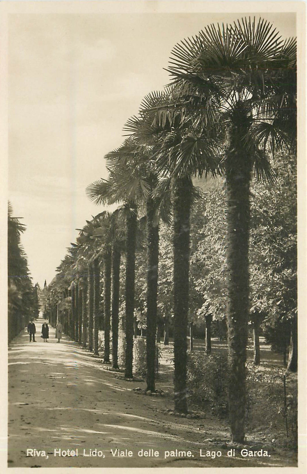 CPM Riva Hotel Lido palme Lago di Garda 