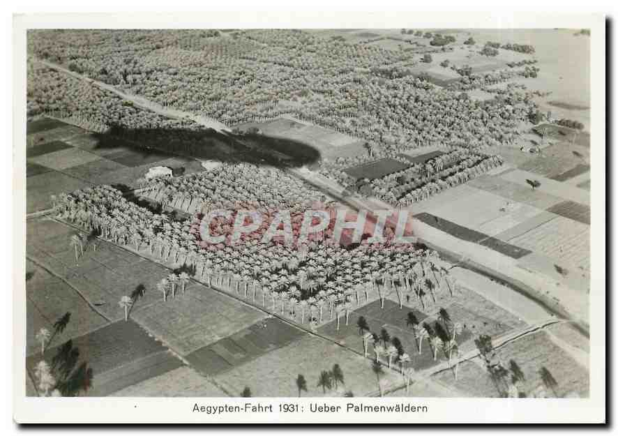 CPM Zeppelin Aviation Aegypten Fahrt Uber Plamenwsaldern Egypte Egypt