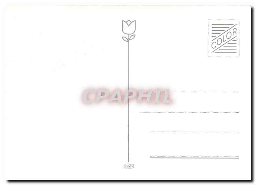 CPM Saalfeld  — Verso