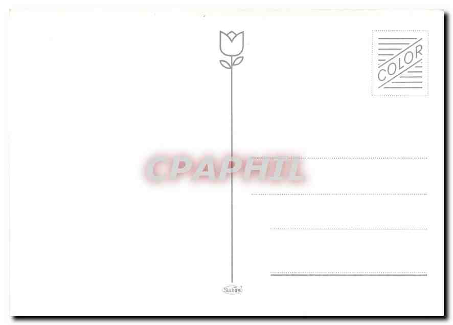 CPM NS Sprinter  — Verso