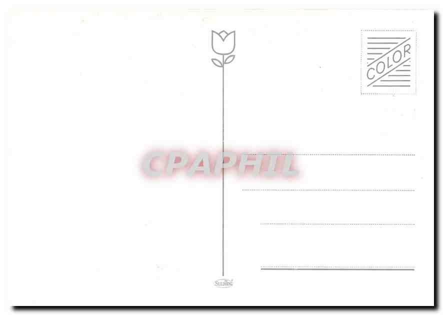 CPM NS 519  — Verso